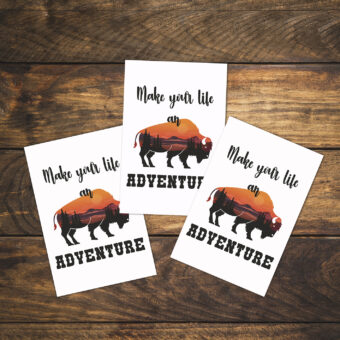 Carte postale représentant le texte make your life an adventure en noir et la silhouette d'un bison dans laquelle est représenté un paysage de couché de soleil sur des montagnes aux dégradés orange à violet