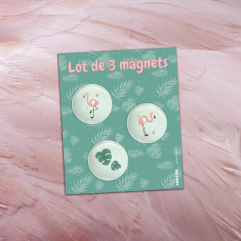 Lot de 3 mini magnets Flamingo au motif de flamants rose et feuillage tropical dans les tons verts et roses.